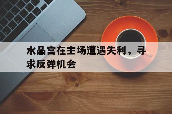关于水晶宫在主场遭遇失利,寻求反弹机会的信息